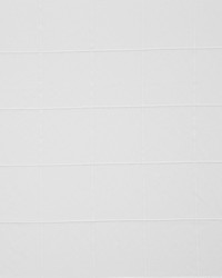 Fillmore 905 Moon by   