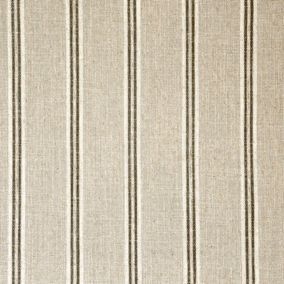 Fenced In 501 Highway in STRIPES & CHECKS Brown Drapery POLYESTER/20%  Blend High Performance Striped   Fabric