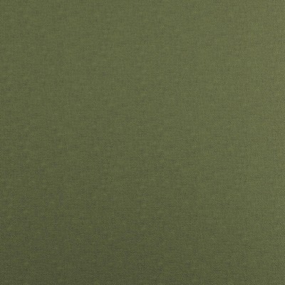 Fidelio 742 Moss in CURLED UP VII Green POLYESTER Traditional Chenille  High Wear Commercial Upholstery  Fabric