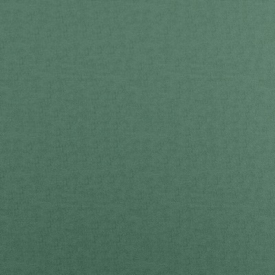 Fidelio 746 Seaglass in CURLED UP VII Green POLYESTER Traditional Chenille  High Wear Commercial Upholstery  Fabric