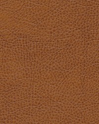 Fairbanks-nj 417 Garbanzo by   