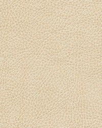 Fairbanks-nj 419 Pulp by   