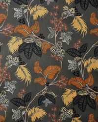 Franz 606 Autumn by  Maxwell Fabrics 