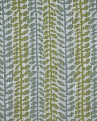 Fernwood 921 Sweetpea by   