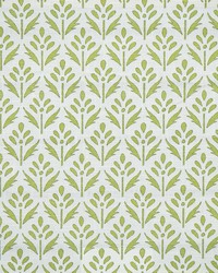 Floraison 341 Salal by   