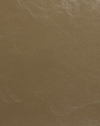 Glaze 111 Tannery by   