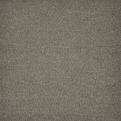 Grove 891 Bark in HOME & GARDEN-ACT IV BELLA-DURA  Blend Fire Rated Fabric High Performance CA 117  NFPA 260  Solid Outdoor   Fabric