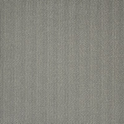 Grove 893 Marble in HOME & GARDEN-ACT IV BELLA-DURA  Blend Fire Rated Fabric High Performance CA 117  NFPA 260  Solid Outdoor   Fabric