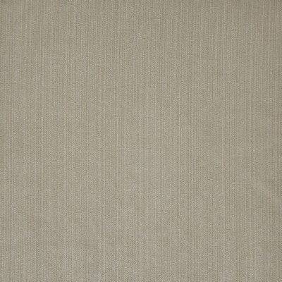 Geraldine 773 Pewter in VELVET ROOM Silver POLYESTER/7%  Blend Fire Rated Fabric High Performance CA 117  NFPA 260   Fabric