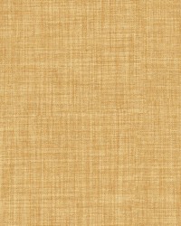 Galileo 241 Amber by   