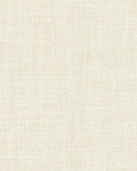 Galileo 244 Papyrus by   