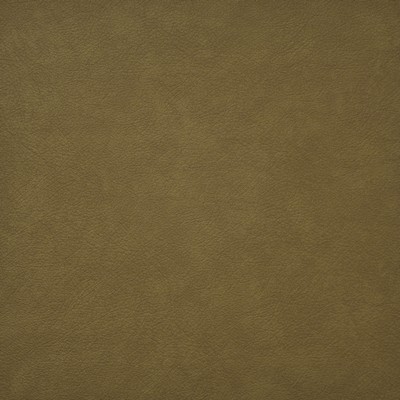 Hidalgo 725 Honey in EASY RIDER IV PVC  Blend Fire Rated Fabric High Wear Commercial Upholstery Solid Faux Leather CA 117  NFPA 260  Solid Color Vinyl  Fabric