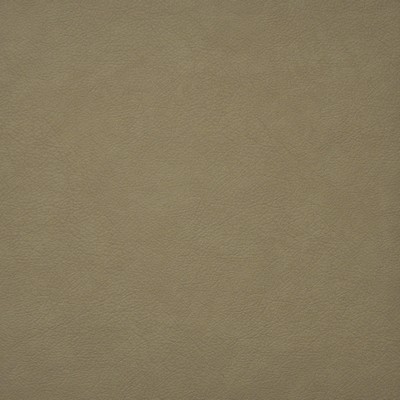 Hidalgo 737 Latte in EASY RIDER IV PVC  Blend Fire Rated Fabric High Wear Commercial Upholstery Solid Faux Leather CA 117  NFPA 260  Solid Color Vinyl  Fabric