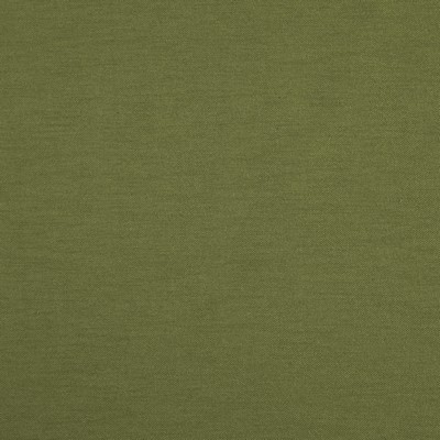 Hatha 03 Palm in CURLED UP V Green POLYESTER  Blend Fire Rated Fabric High Wear Commercial Upholstery CA 117  NFPA 260   Fabric