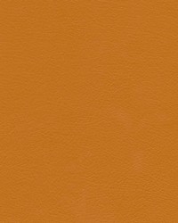 Herve-nj 732 Pumpkin by   