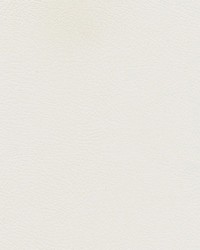 Herve-nj 733 Arctic by   