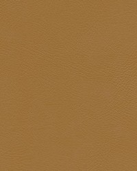 Herve-nj 734 Appleton by   