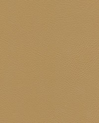 Herve-nj 737 Stucco by   