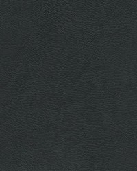 Herve-nj 738 Midnight by   