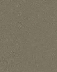 Herve-nj 741 Cave by   