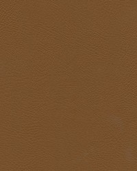 Herve-nj 743 Cinnamon by   