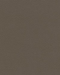 Herve-nj 744 Pathway by   