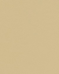 Herve-nj 748 Beige by   