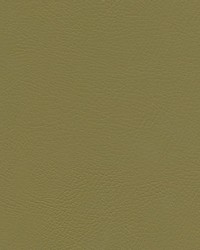 Herve-nj 749 Sage by   