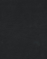 Herve-nj 750 Navy by   