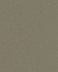 Herve-nj 751 Cellar by   