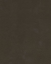 Herve-nj 753 Hike by   