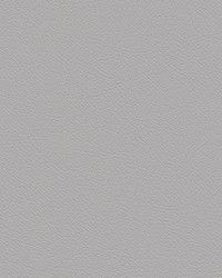 Highborn-nj 385 Tin by   