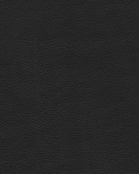 Highborn-nj 388 Nigella by   