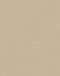 Highborn-nj 389 Oatmeal by   