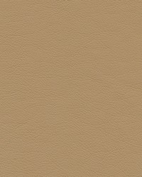 Highborn-nj 390 Fawn by   