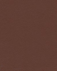 Highborn-nj 391 Pinecone by   