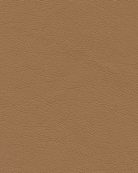 Highborn-nj 392 Latte by   