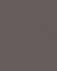 Highborn-nj 396 Thunder by   