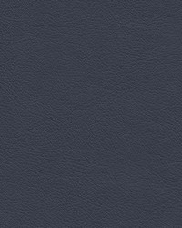 Highborn-nj 398 Azurite by   