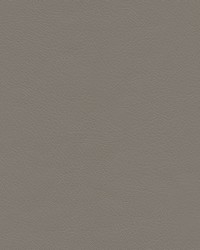 Highborn-nj 399 Fog by   