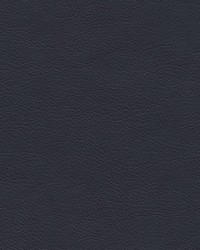 Highborn-nj 400 Captain by   