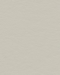 Highborn-nj 402 Seashell by   