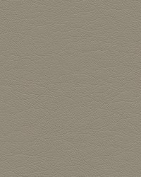 Highborn-nj 403 Cliff by   