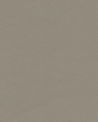 Highborn-nj 404 Rock Wall by   