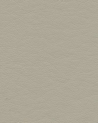 Highborn-nj 405 Shale by   