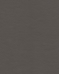 Highborn-nj 406 Friesian by   