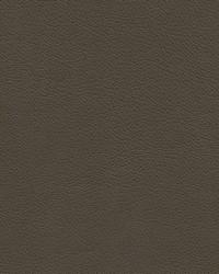 Highborn-nj 410 Shingle by   