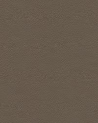 Highborn-nj 411 Sepia by   