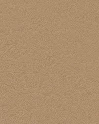 Highborn-nj 412 Gravy by   