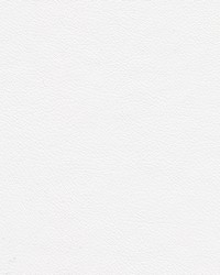 Highborn-nj 413 Pearl by   